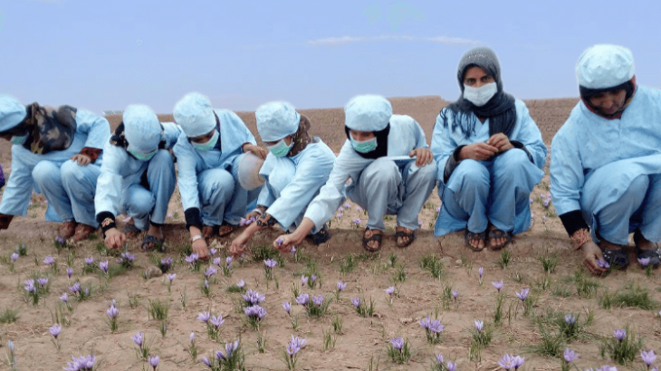 "Zafferano per le donne afghane" Insieme si può