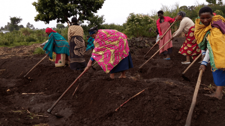 Ruanda progetto agricoltura 2020